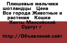 Плюшевые мальчики шотландцы › Цена ­ 500 - Все города Животные и растения » Кошки   . Ханты-Мансийский,Сургут г.